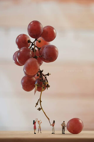 Grapes of Emotion: The Sad Tom Chronicles 🍇😢