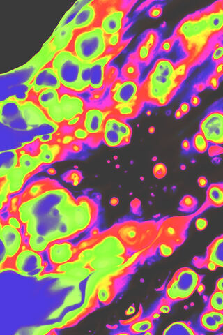 Vibrant Life: The Art of Cellular Transplantation 🌱✨