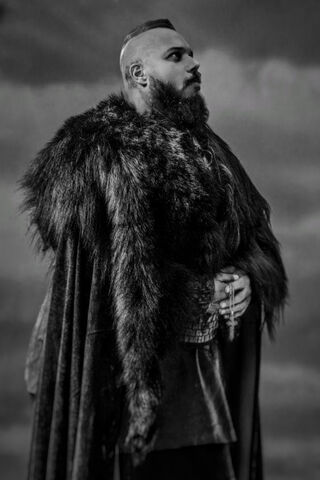 Warrior of the North: A Viking's Legacy