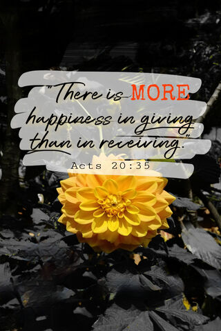 The Gift of Giving 🌼✨