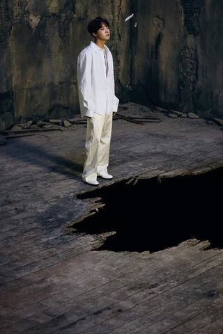 Ethereal Elegance: The Black Swan Moment