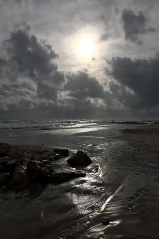 Mystical Shoreline: A Monochrome Escape