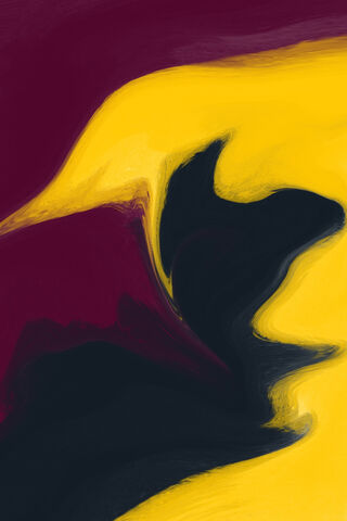 Chaos in Color: The Disturbed Canvas