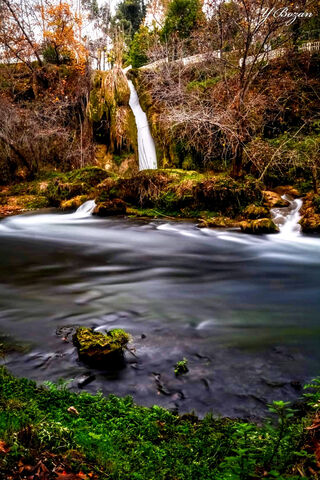 Doga: Nature's Serene Symphony 🎶🌿