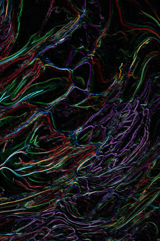 Cosmic Noodles: A Journey Through the Universe 🍝✨