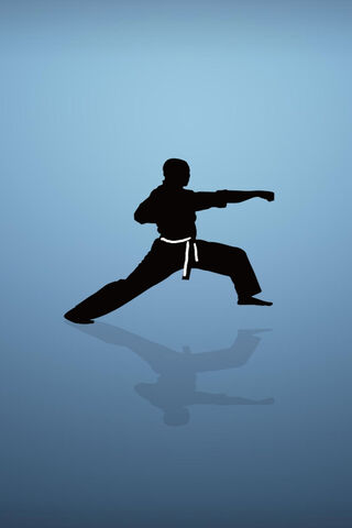 Mastering the Art of Karate Kata 🥋✨
