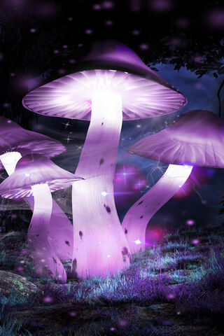 Enchanted Glow: The Mystical Mushrooms 🌌✨