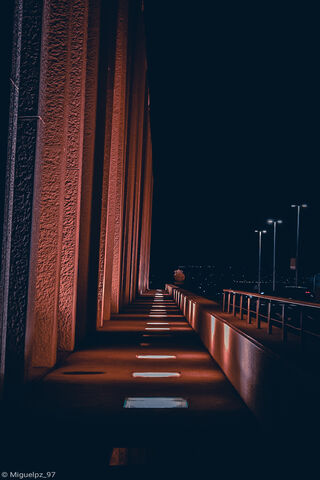 Golden Night Pathway ✨🌙