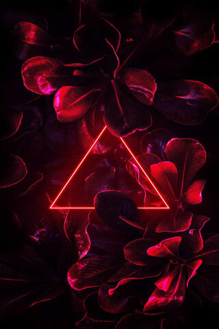 Radiant Geometry: The Neon Triangle