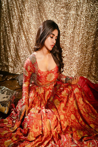 Radiant Elegance: The Charm of Nabha Natesh ✨