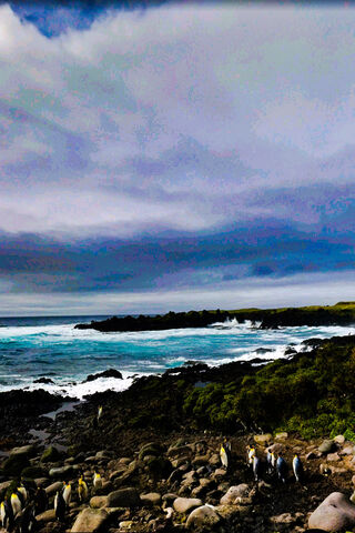 Coastal Serenity: Nature's Masterpiece 🌊🌿