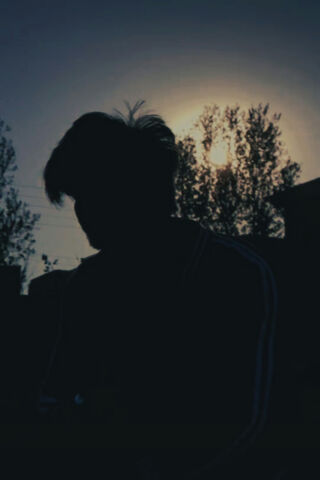 Whispers of the Twilight