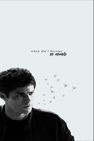 Echoes of the Past: A Shadowhunter's Journey