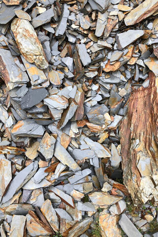 Snowdonia Slate
