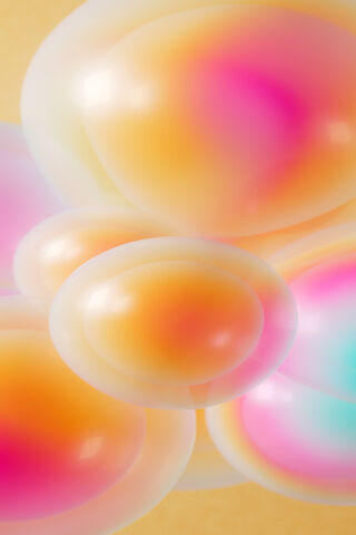 Whimsical Dreams
