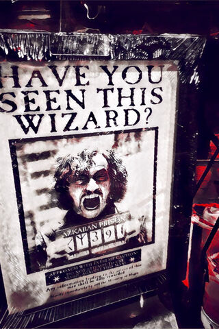 The Search for the Missing Wizard 🧙 ✨