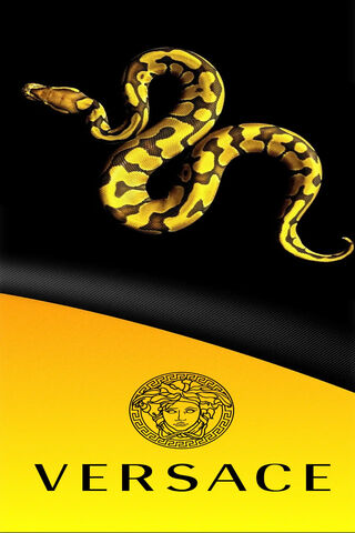 Versus: The Serpent of ..
