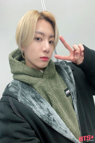 Shimmering Metal Patterns: A Visual Symphony