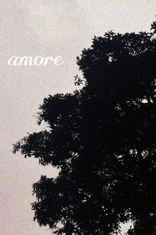 Whispers of Love 🌳❤️