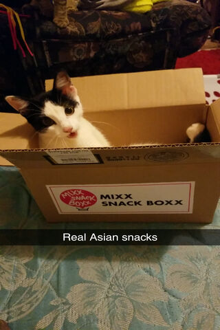 Asian Snacks