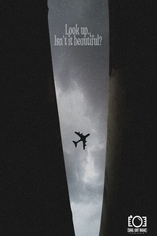 Skyward Dreams: The Beauty of Flight ✈️✨