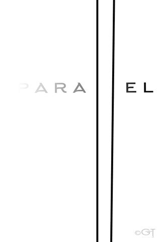 Parallel Perspectives