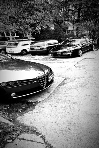 Alfa Romeo: A Classic Encounter on the Streets 🚗✨