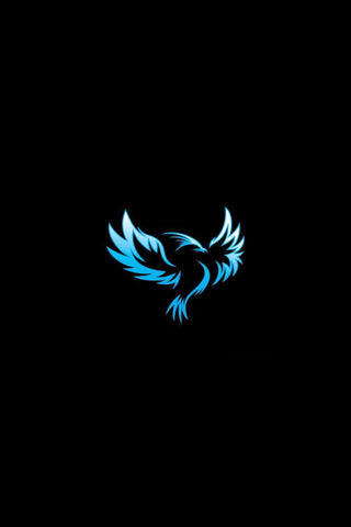 Soaring into the Sky: The Blue Bird