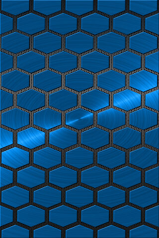 Blue Poly With Mesh