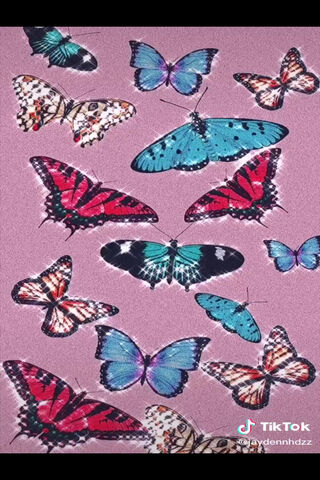 Whimsical Wings: A Dance of Color