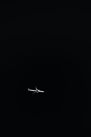 Soaring Through the Voi..