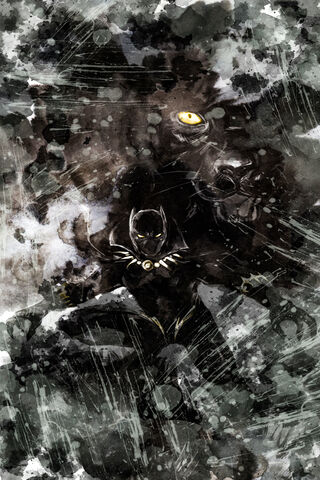 Shadow of the Panther: A Hero's Vigil