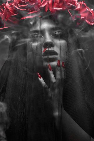 Crimson Veil: A Dance of Shadows and Roses