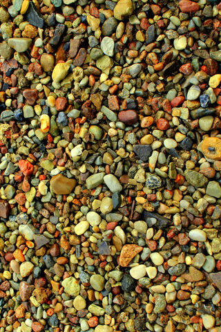 Nature's Colorful Mosaic: Beach Rocks