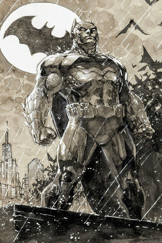 The Dark Knight Reimagined: Batman Lee