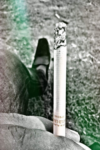 Whispers of Smoke: A Mo..