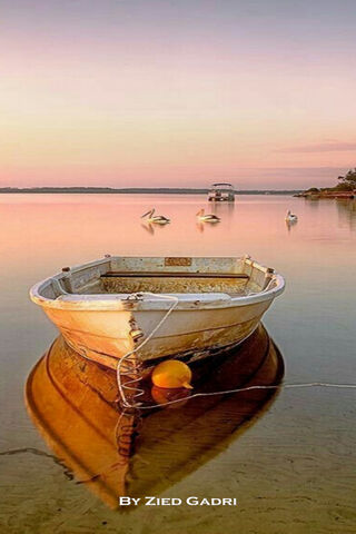 Serenity at Dusk: The Bateau's Embrace 🌅🚤