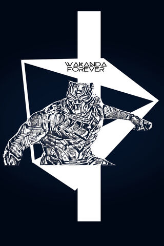 Wakanda Forever: The Legacy of the Black Panther 🐾✨