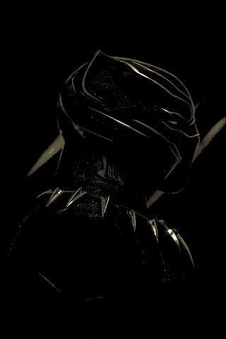 Shadow of the King: The Black Panther