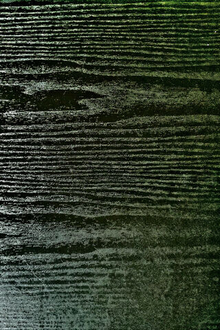 Mystique of Black Woodgrain 🌲✨