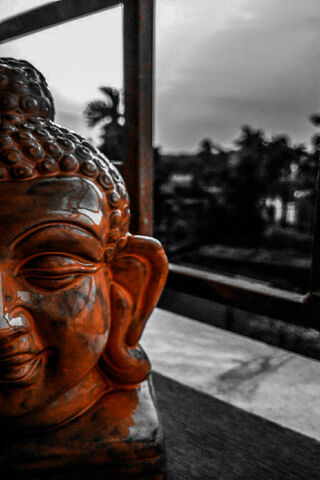 Serenity in Stillness: The Buddha's Gaze