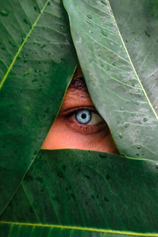 Mysteries of the Barmuda Triangle 🌿🔺