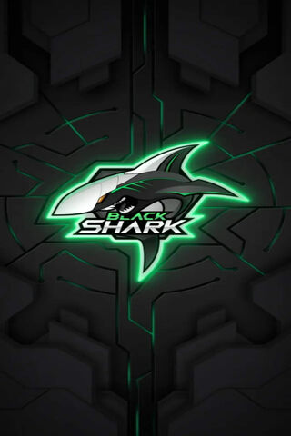 Blackshark 3