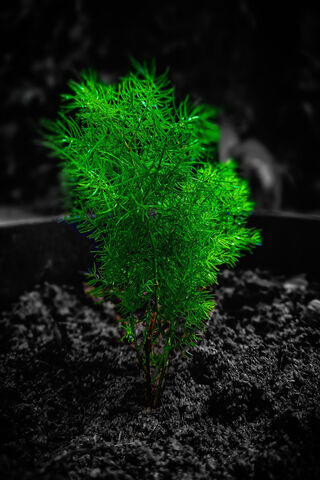 Bot-Mind: The Green Awakening 🌱✨