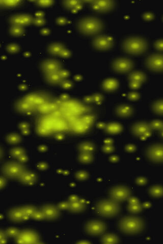 Glow in the Dark: A Dance of Light