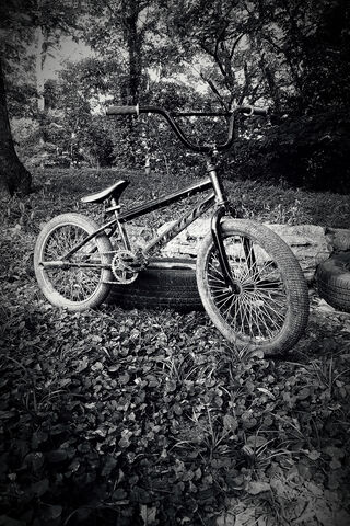 Urban BMX Adventure: Black and Gray Style 🚴 🌳