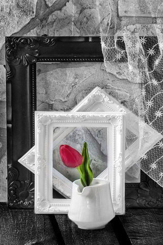 Timeless Elegance: A Fl..