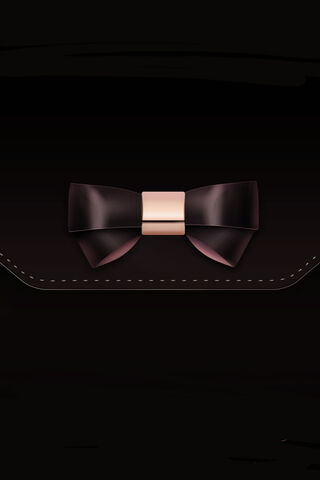 Elegant Charm: The Black Gold Bow