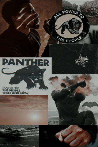 Legacy of the Black Panther: Power and Unity