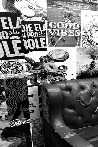 Monochrome Vibes: The Art of Contrast